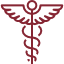 Primary Medical Care Icon