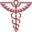 Primary Medical Care Icon