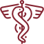 Caduceus icon